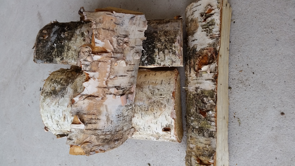 The benefits of burning Kiln Dried Silver Birch Logs