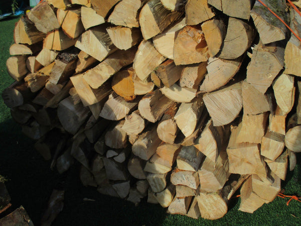 Seasoned Hardwood logs and firewood biomass supply